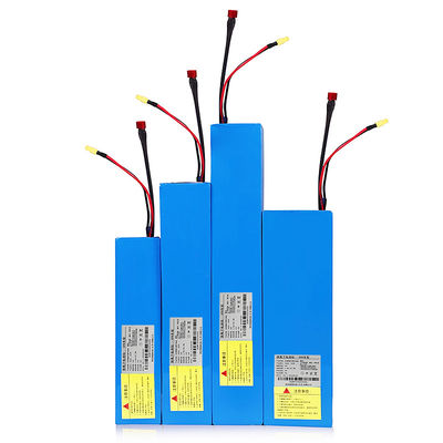 Fast Charging 48v Scooter Battery 48v Lithium Battery For Electric Scooter